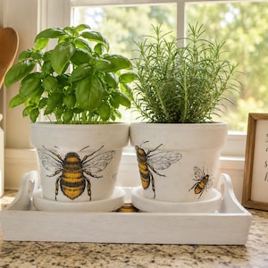 May include: Two white ceramic plant pots with saucers, each decorated with detailed illustrations of honeybees. The pots contain green basil and rosemary plants and are arranged on a white rectangular wooden tray with side handles.