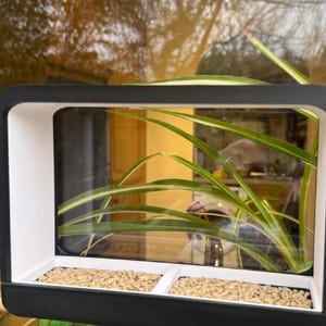 Puede incluir: Un comedero para pájaros negro y blanco con dos compartimentos para semillas. El comedero tiene forma rectangular con un panel frontal transparente. Se ven semillas y plantas verdes.