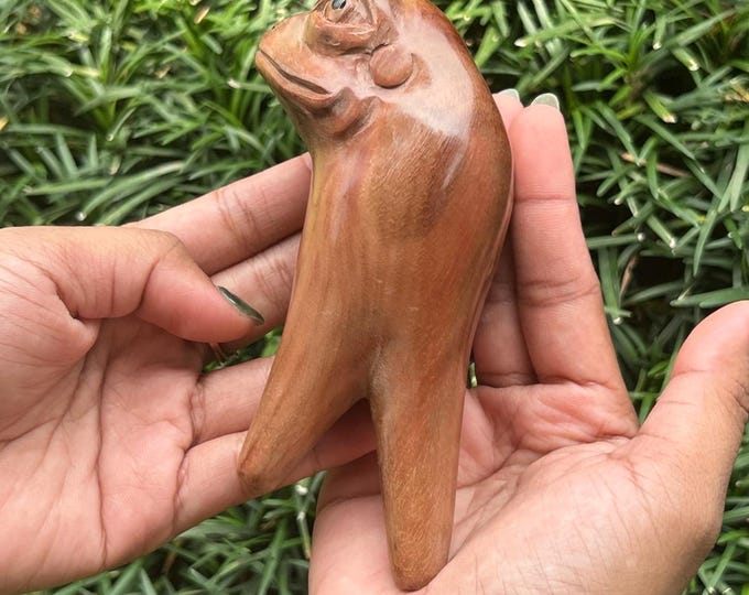 Kuripe “Old Frog” Carved from single wooden block high quality carving Sawo wood.