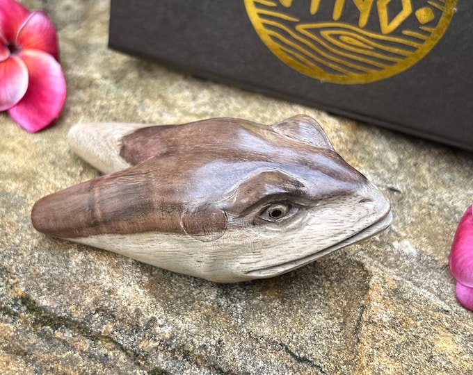 Kuripe "Old Frog Head" Craved from single wooden block high quality carving durable Two Tone wood.