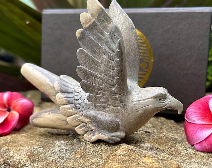 Kuripe "Eagle Fly" Carved from single wooden block high quality carving of Dark Waru wood.