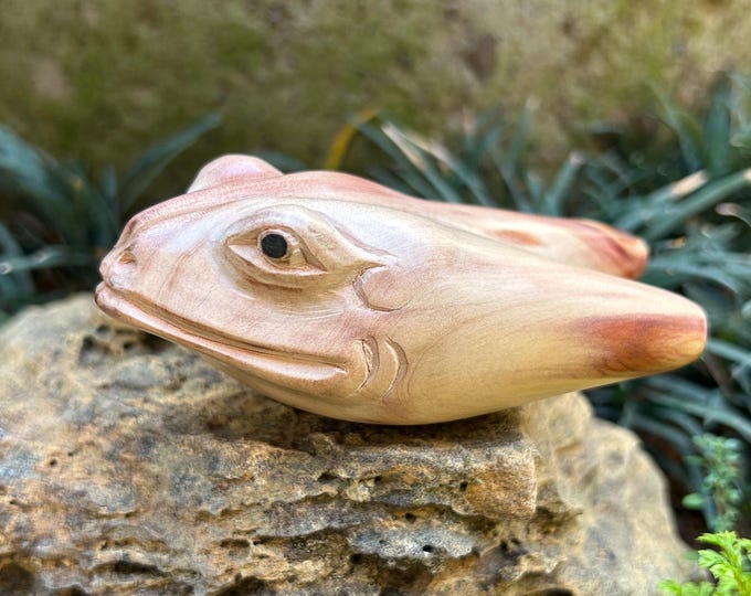 Kuripe "Old Frog Head" Craved from single wooden block high quality carving coniferous "Cemara" Indonesian durable wood.