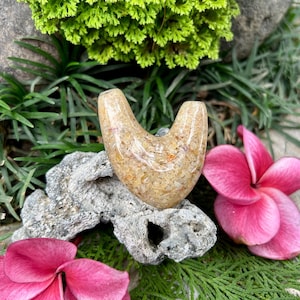 May include: A light brown, V-shaped stone carving with a speckled pattern, resting on a piece of gray rock. The carving is surrounded by green foliage, pink flowers, and a light-colored surface.