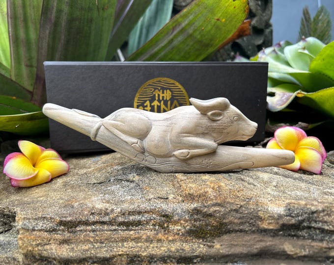 Tepi "Buffalo" Carved from single wooden block high quality carving of Crocodile wood.