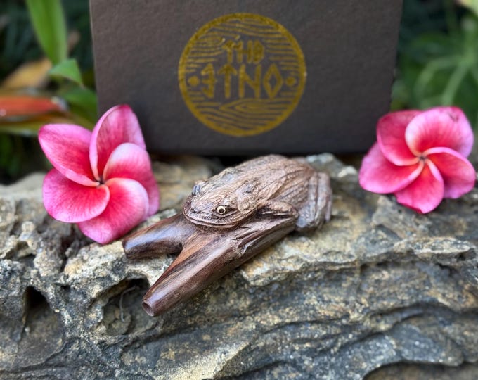 Kuripe "Bufo Frog" Carved from Single Wooden block High Quality Carving of Dark Wood.