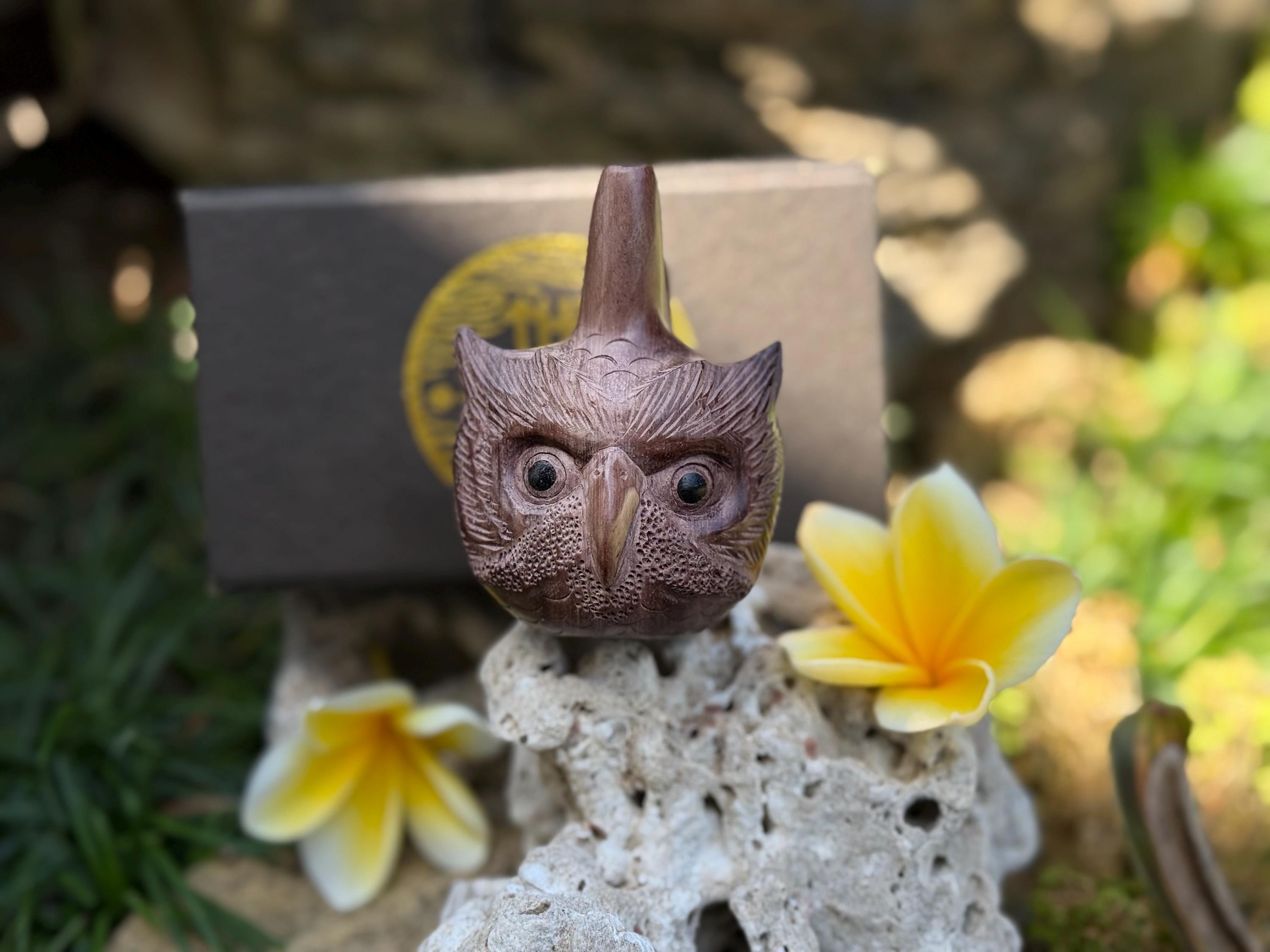 Kuripe &ldquo;Owl Head&rdquo; Carved from single wooden block high quality carving selected Dark woo