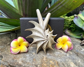 Kuripe “Golden Spiral” Carved from single wooden block high quality carving Crocodile wood