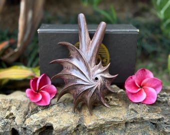Kuripe “Golden Spiral” Carved from Single Wooden Block High Quality Carving of Dark Wood