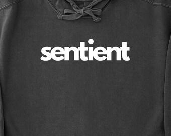 Sentient Unisex Hoodie, Humanity First, Bold Lettering, AI Sentiment, People Before Technology, Personalized Sweatshirt