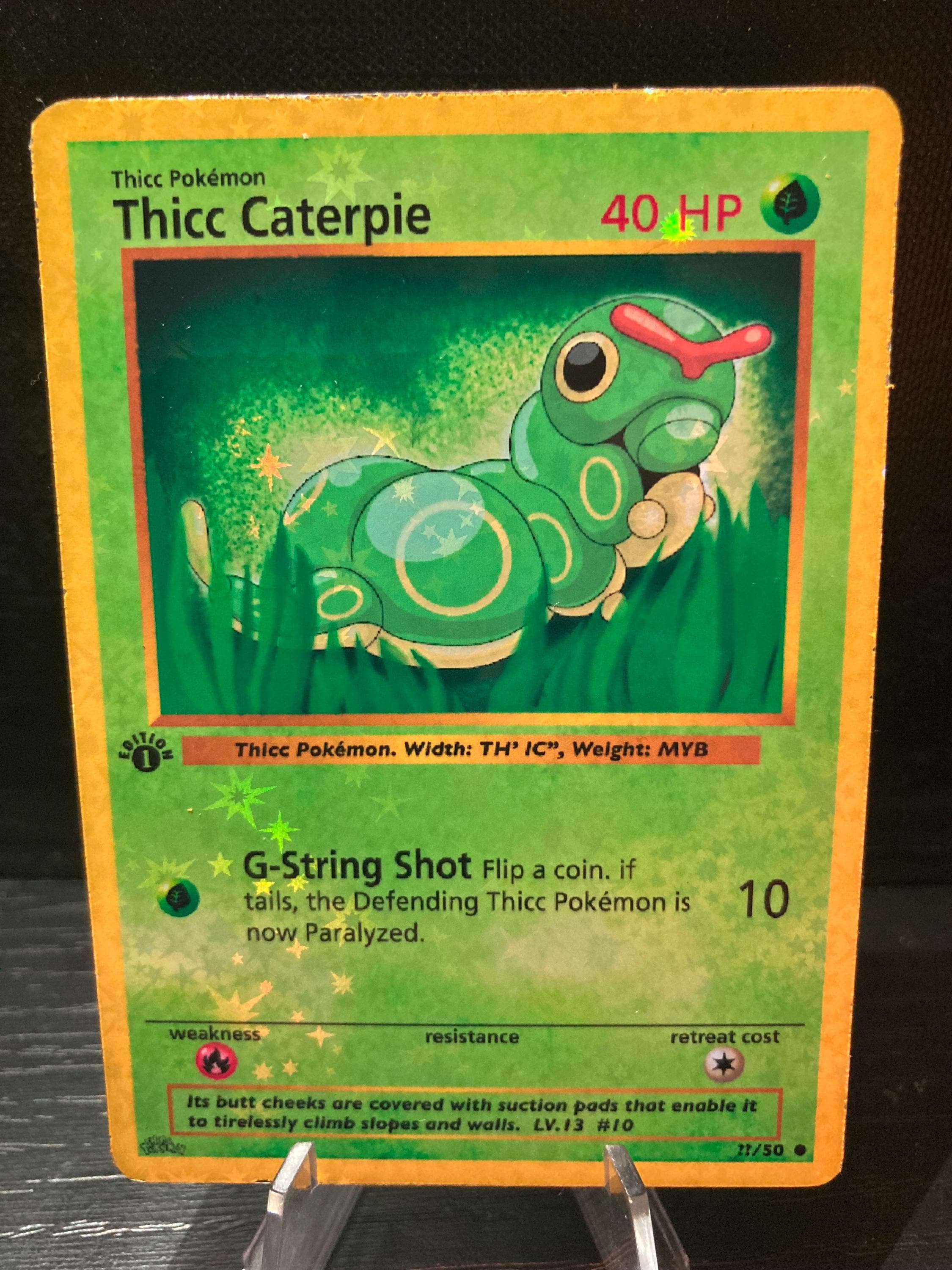 2023 pokemon cards to look for Pokemon 2023 Gray Border North American Card Lot - 22 EX/NM+ Cards - 4  Holo/Rev