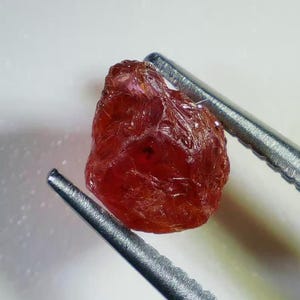 May include: A raw, uncut ruby gemstone held by silver tweezers. The ruby is a deep red colour with a textured surface. The tweezers are positioned against a white background.