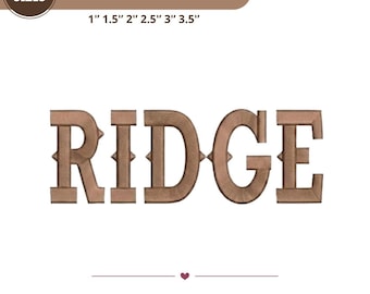 Western Font | Cowboy Retro Fonts | Rustic Rodeo Vintage Typography | Wild West Display Font Pack - Cricut, 6 sizes | 11 formats