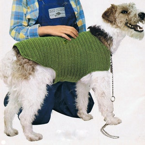 Dog Coat Crochet Pattern PDF Vintage (T188) INSTANT Download