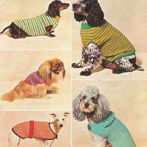 May include: A vintage knitting pattern booklet for dog sweaters. The cover features four dogs wearing different colored sweaters. The title of the booklet is "Double Knittings and Fiona" and the pattern number is "6011".