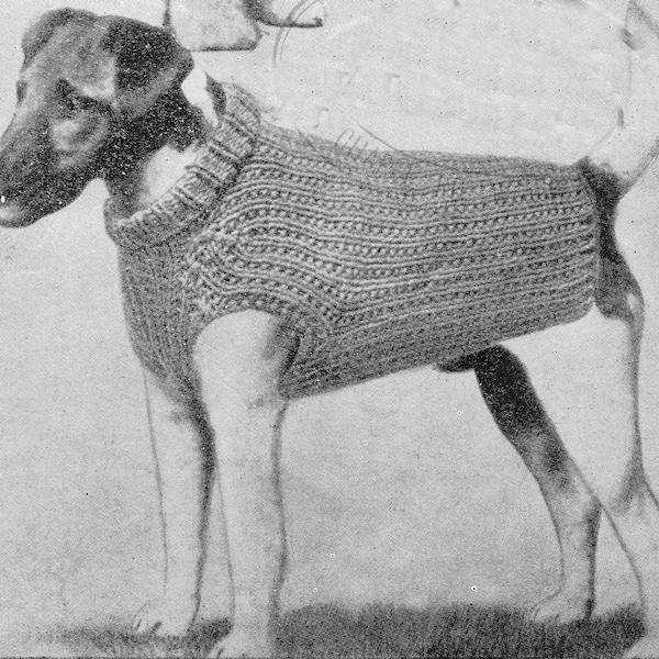 Dog Sweater Knitting Pattern Dog Coat Knitting Pattern PDF Pattern (T215)