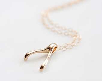 Gold Wishbone Necklace Lucky Wishbone Charm Minimalist Dainty Good Luck Jewelry - N265