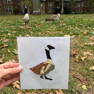 May include: A greeting card with a collage of a Canada goose. The goose has a black head and neck, a white cheek patch, and a brown body. The card is held in front of a grassy area with real geese and a building in the background.