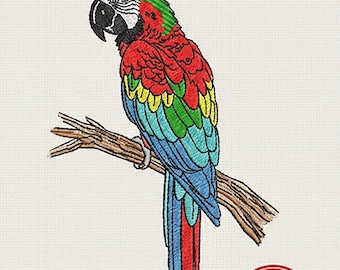 Vibrant Macaw Embroidery Design | Tropical Parrot Pattern (6 inch) (Digital Download)