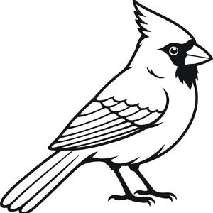 May include: A black and white line art illustration of a cardinal bird in profile. The bird features a prominent crest on its head, a pointed beak, and a dark mask around its eyes. The wings and tail feathers are detailed with clean, bold outlines.