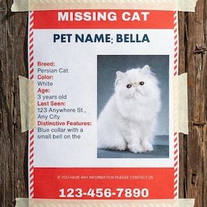 Missing Pet Flyer Canva Template: Lost Cat, Dog, Bird Poster (Instant Digital Download)