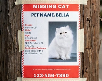 Missing Pet Flyer Canva Template: Lost Cat, Dog, Bird Poster (Instant Digital Download)