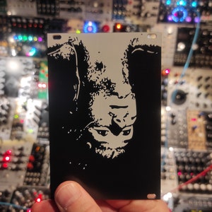 Altered states upside down head eurorack blank 17hp