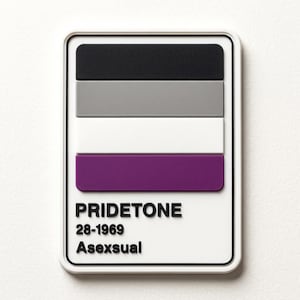 Asexual Pride PVC Patch, Ace Flag Rubber Morale Badge for Backpacks, Cute Pride Color Palette Hook and Loop Patch, LGBTQ+ Jacket Badge