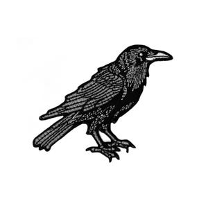 Peut inclure: Écusson brodé noir représentant un corbeau. Le corbeau est représenté de profil, avec des coutures détaillées soulignant ses plumes, son bec et ses pattes. Le patch est conçu pour être cousu ou repassé sur du tissu, adapté aux vestes, sacs ou autres articles vestimentaires.