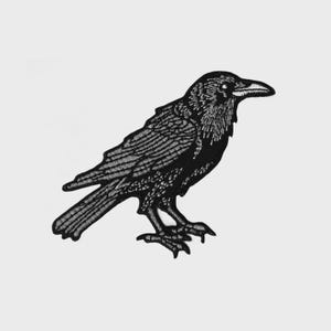 May include: A black embroidered patch featuring a detailed raven in a side profile. The raven has textured feathers and a sharp beak, set against a white background. This patch is suitable for jackets, bags, or other fabric items.
