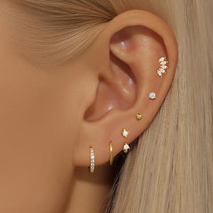 May include: Close-up of an ear adorned with multiple gold earrings. The ear features a small hoop earring with clear stones, a plain gold hoop, and several stud earrings with clear stones and a cluster of gold leaves.