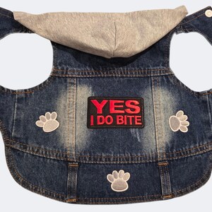 May include: A blue denim dog vest with a grey hood. The vest features three paw print patches and a patch reading "YES I DO BITE" in red and white. It has white buttons and is designed for a dog.