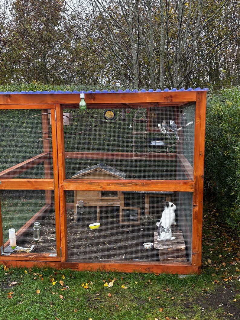 Parrot Enclosure With Waterfall photo