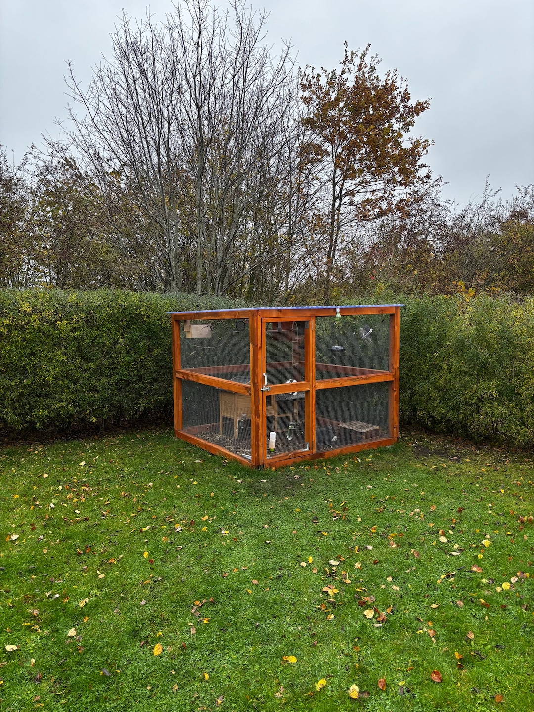 Curated visual reference: Wooden Outdoor Rabbit Parrot Enclosure Photo Inspiration