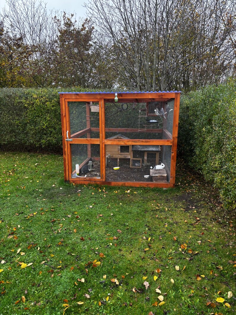 Photo inspiration: Fresh Look at Wooden Outdoor Rabbit Parrot Enclosure