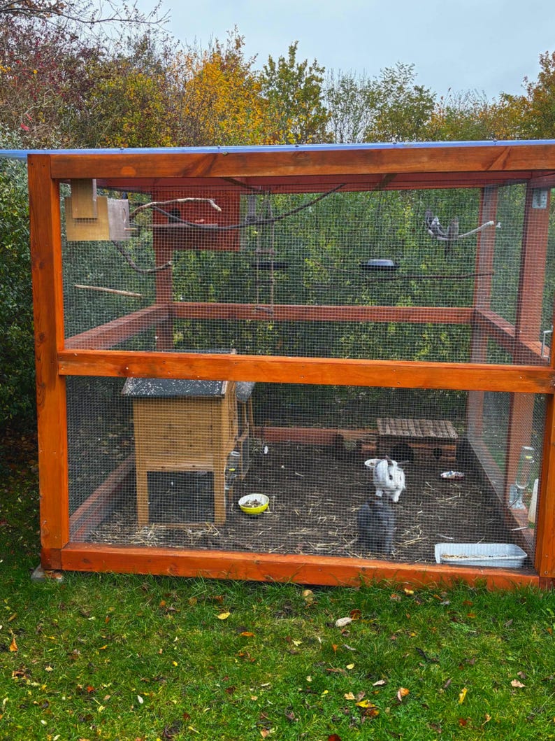 Curated visual reference: Visual Reference: Wooden Outdoor Rabbit Parrot Enclosure