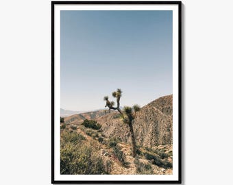 Joshua Tree Fine Art Photo Print, Mojave Desert Wall Art, California Decor