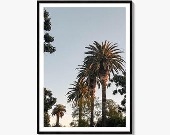 California Palm Tree Sunset Fine Art Photo Print, Los Angeles Wall Art, Pacific Coast