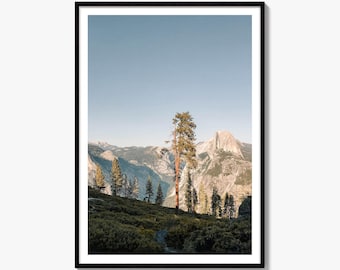 Pine Tree Fine Art Photo Print, Half Dome Granite Wall Decor, Yosemite Valley Poster