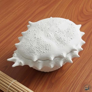 Puede incluir: Un recipiente de cerámica blanca mate con tapa en forma de erizo de mar o concha espinosa. La superficie presenta una textura densa y elevada de pequeñas protuberancias y puntas a lo largo de los bordes, con una tapa extraíble.