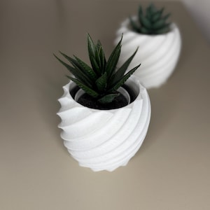 Peut inclure: Deux pots de plantes blancs à texture en spirale, chacun contenant une plante succulente vert foncé. Les pots ont un design moderne et les plantes ont des feuilles pointues. L'arrière-plan est de couleur neutre.