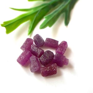 May include: A collection of rough, uncut ruby gemstones in varying shades of deep pink and purple. The gemstones are clustered together on a white surface, with a sprig of green foliage in the background.
