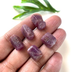 May include: Five small, raw, hexagonal-shaped ruby crystals with a deep magenta-red color and a natural, textured surface. These rough gemstones exhibit a semi-opaque appearance with visible crystalline structures and irregular, jagged edges.