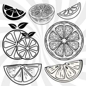 Puede incluir: Ilustración en blanco y negro de rodajas y mitades de cítricos. La imagen incluye una variedad de rodajas de naranja y limón, con cortes transversales y texturas de cáscara detalladas. El diseño recuerda a los dibujos botánicos vintage.