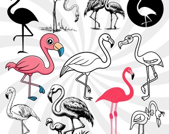 Flamingo Svg-paket, Flamingo-klippfiler, Flamingo Clipart, Tropisk fågel Svg, Flamingo-silhuett, Rosa Flamingo Svg, Flamingo Png