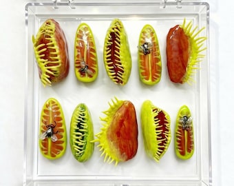3D Gel Carnivorous Plant Press On Nails, Venus Flytrap Horror Nature Art Set