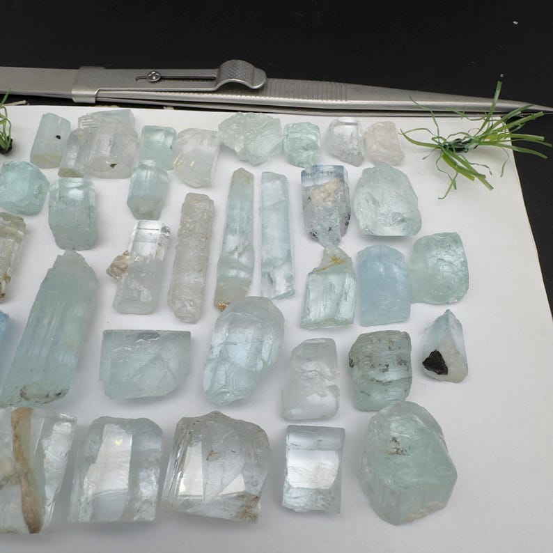 Puede incluir: Una colecci&oacute;n de cristales de aguamarina en bruto de diversas formas y tama&ntilde;os. Los cristales var&iacute;an en color de transparente a azul p&aacute;lido, algunos con un ligero tinte verdoso. Tambi&eacute;n se ven unas pinzas y una ramita verde.