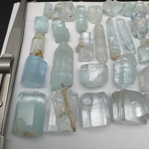 Puede incluir: Una colecci&oacute;n de cristales de aguamarina en bruto de diversas formas y tama&ntilde;os. Los cristales var&iacute;an en color de azul p&aacute;lido a transparente, algunos con inclusiones naturales. Se ve un par de pinzas met&aacute;licas en el lado izquierdo.