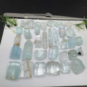 Puede incluir: Una colecci&oacute;n de cristales de aguamarina en bruto de varias formas y tama&ntilde;os, que van del azul p&aacute;lido al transparente. Tambi&eacute;n hay unas pinzas y peque&ntilde;as plantas verdes. Los cristales se muestran sobre una superficie blanca.