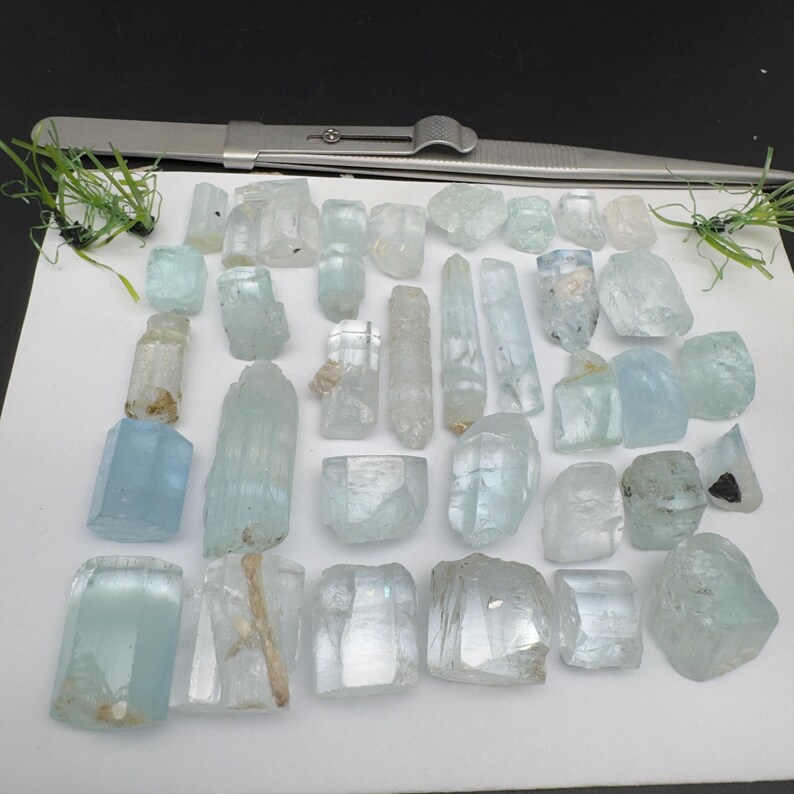 Puede incluir: Una colecci&oacute;n de cristales de aguamarina en bruto de varias formas y tama&ntilde;os, que van del azul p&aacute;lido al transparente. Tambi&eacute;n hay unas pinzas y peque&ntilde;as plantas verdes. Los cristales se muestran sobre una superficie blanca.