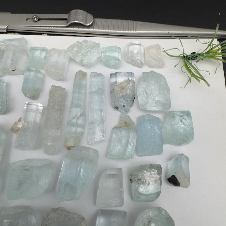 Puede incluir: Una colecci&oacute;n de cristales de aguamarina en bruto de diversas formas y tama&ntilde;os, mostrando tonos azul p&aacute;lido y claros. Los cristales est&aacute;n dispersos sobre una superficie blanca, con unas pinzas y un peque&ntilde;o manojo de hierba verde en el fondo.